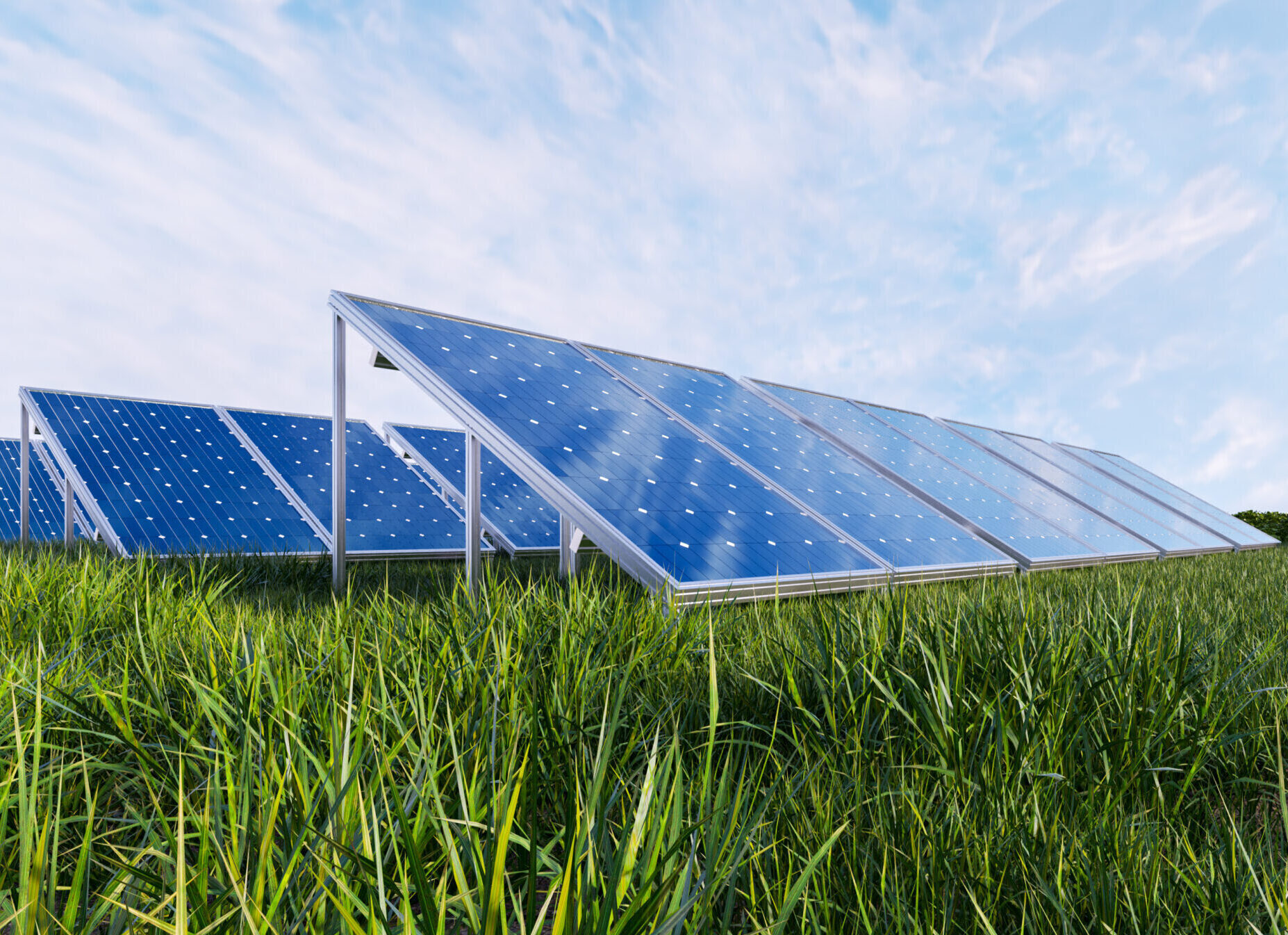 Paneles solares en Explotaciones Agrícolas